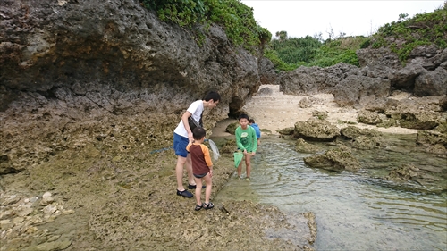 24日・沖縄満喫プラン！